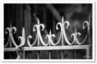 VM- Fences Gates and Metal Sheds